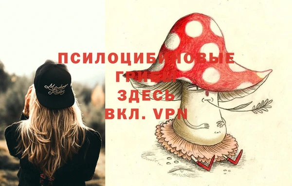 ешки Армянск