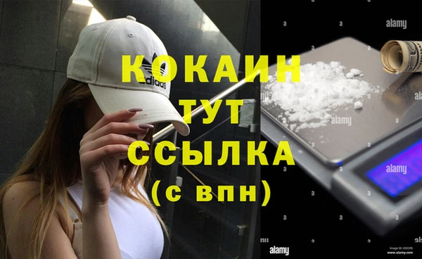 амф Арсеньев